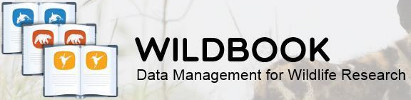 wildbook